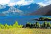 The successful 100 per cent pure New Zealand campaign raises visitor numbers